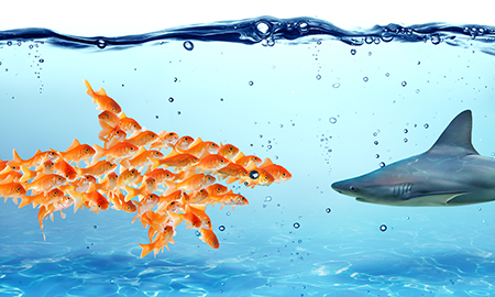 Business Training and Development